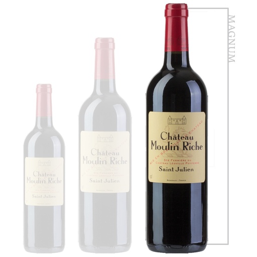 Chateau Moulin Riche 2019 - Magnum